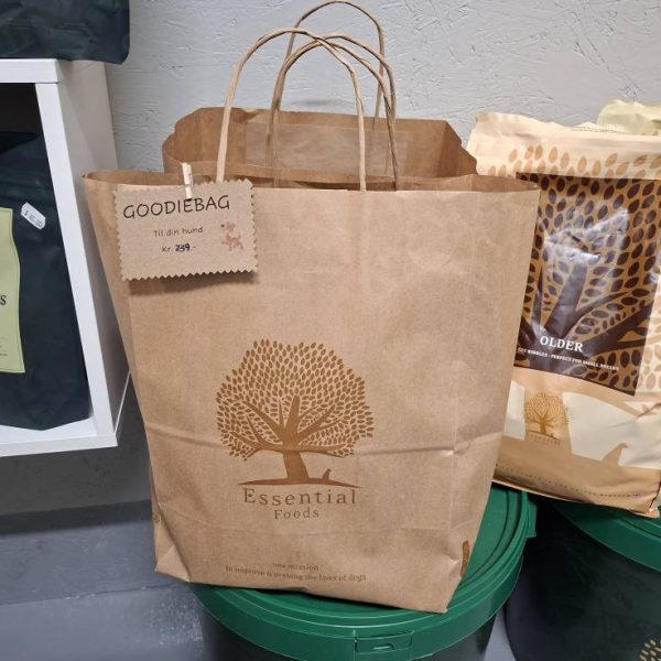 600295103_1202825968618580_877726409589329913_n